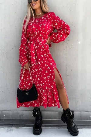 Floral Print Tie Long Sleeve Slit Maxi Dress